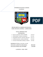 Informe 4 Quimica Orgánica Unalm