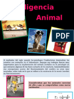 Inteligencia Animal