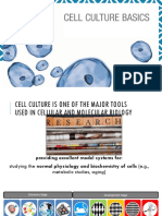 Cell Culture Basics