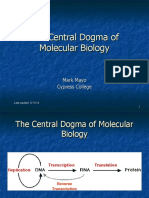 Central Dogma of Molecular Biology