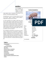 Sus Scrofa Domestica