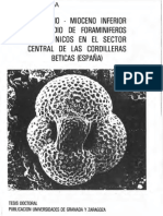 Molina1979TesisDoctoral PDF