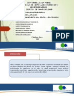 Diapositivas Ssosma Sac