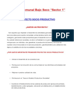 Proyecto Socio Productivo