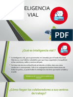 Inteligencia Vial