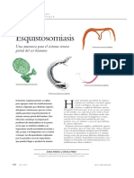 Esquitosomiasis PDF