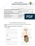 Teste CN 6 Nutrientes