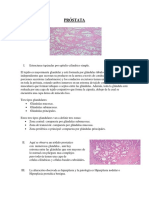 Lab 2 de Histologia Lab