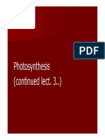 Function of Photosynthesis