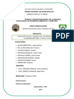 Informe Proyeccion 1