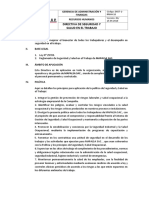 Directiva de Seguridad y Salud en El Trabajo v15042018