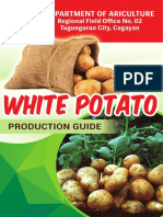 White Potato Production Guide