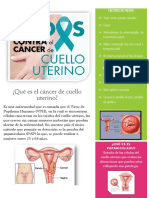 Qué Es El Cancer de Cuello Uterino