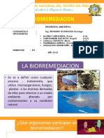 Biorremediacion PPT 2