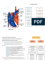 Blood Flow: Right Atrium