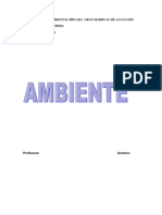 Transversalidad Del Ambiente