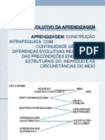 Esquema Evolutivo Da Aprendizagem