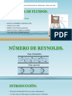 Numero de Reynolds