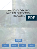 Meteorology and Natural Purification Processes