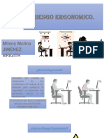 Riesgo Ergonomico