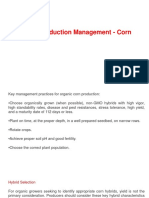 Corn Production Management