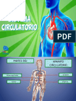 Power Poin El Sistema Circulatorio