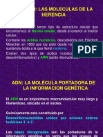 Adn y Arn 2 PDF