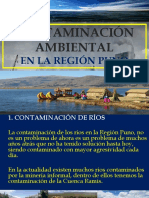 Contaminacion Ambiental - Diego Okokok.