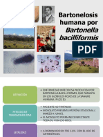 Epidemiologia Bartonelosis