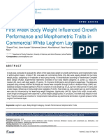 First Week Body Weight Influenced Growth Performance and Morphometric Traits in Commercial White Leghorn Layers