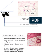 Adipose Tissue: By: Dr. Arnold B. Fonollera