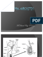 Epididymo Orchitis