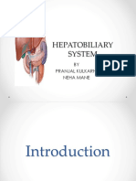 Hepatobiliary System: BY Pranjal Kulkarni Neha Mane