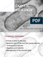 Endodontic Microbiology: Dr. Ammar Abu Mostafa