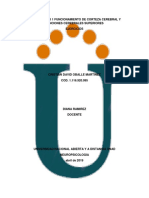 Unidad 1 Paso 1 Funcionamiento de Corteza Cerebral y Funciones Cerebrales Superiores