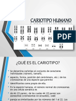 Cariotipohumano 140603172425 Phpapp01 PDF