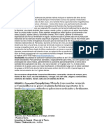 9 Flores para El Alma 2 PDF