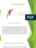 Sistema Muscular.