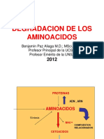 Degradacion de Aminoacidos