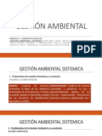 Gestion Ambiental Sistemica