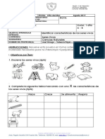 Prueba Ciencias Seres Vivos