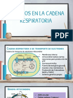 Defectos en La Cadena Respiratoria