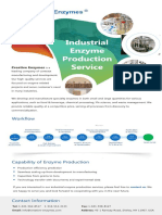 Industrial Enzyme Production