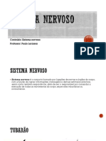 Slide Sistema Nervoso