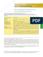 Journal of Nephropathology: Contrast-Induced Nephropathy A Literature Review