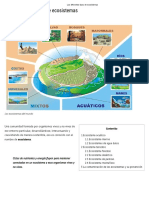 Los Diferentes Tipos de Ecosistemas