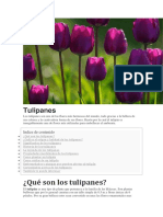 Tulipanes