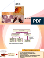 Bartonelosis