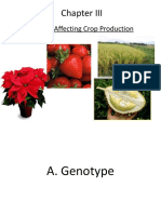 Crop Morphology