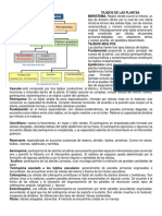 Tejidos de Las Plantas